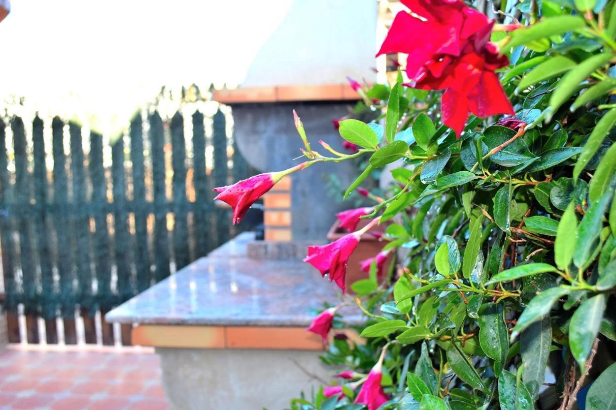 Bungalow En Camping De La Manga Zewnętrze zdjęcie